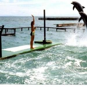 Meet your Posher, Flor